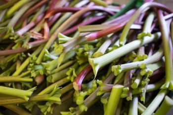 0092-Asperges-Nonnenmacher-Catherine Theulin.jpg