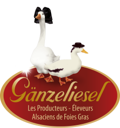 logo_ganzeliesel_vectorise.png